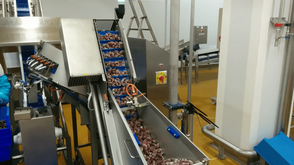 Bell sausages loading solution